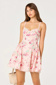 ASTR Birdie Dress